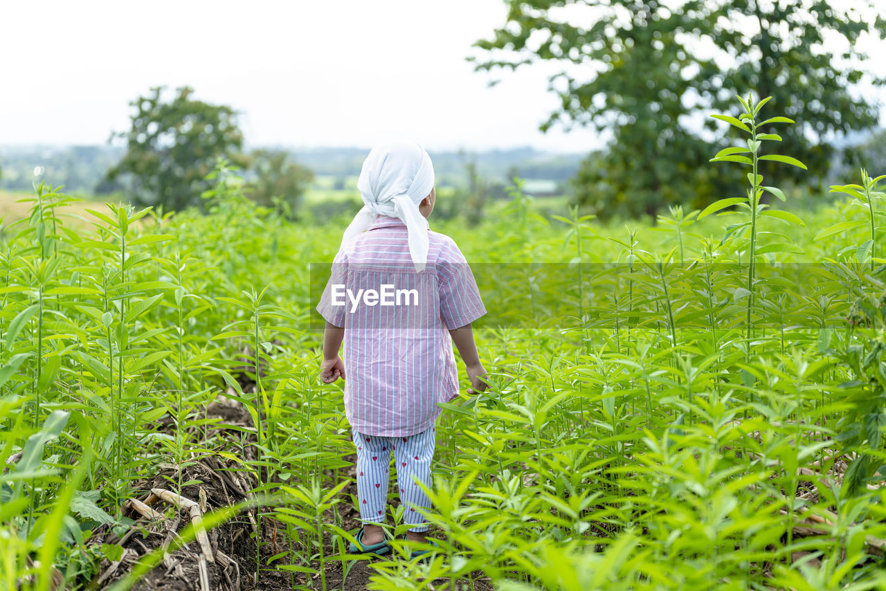 Rear view of boy standing on field