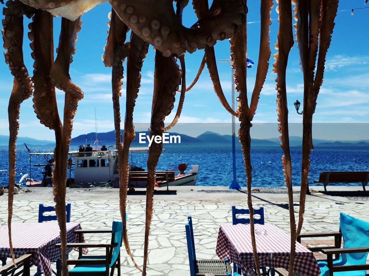 PANORAMIC SHOT OF SEA AGAINST SKY