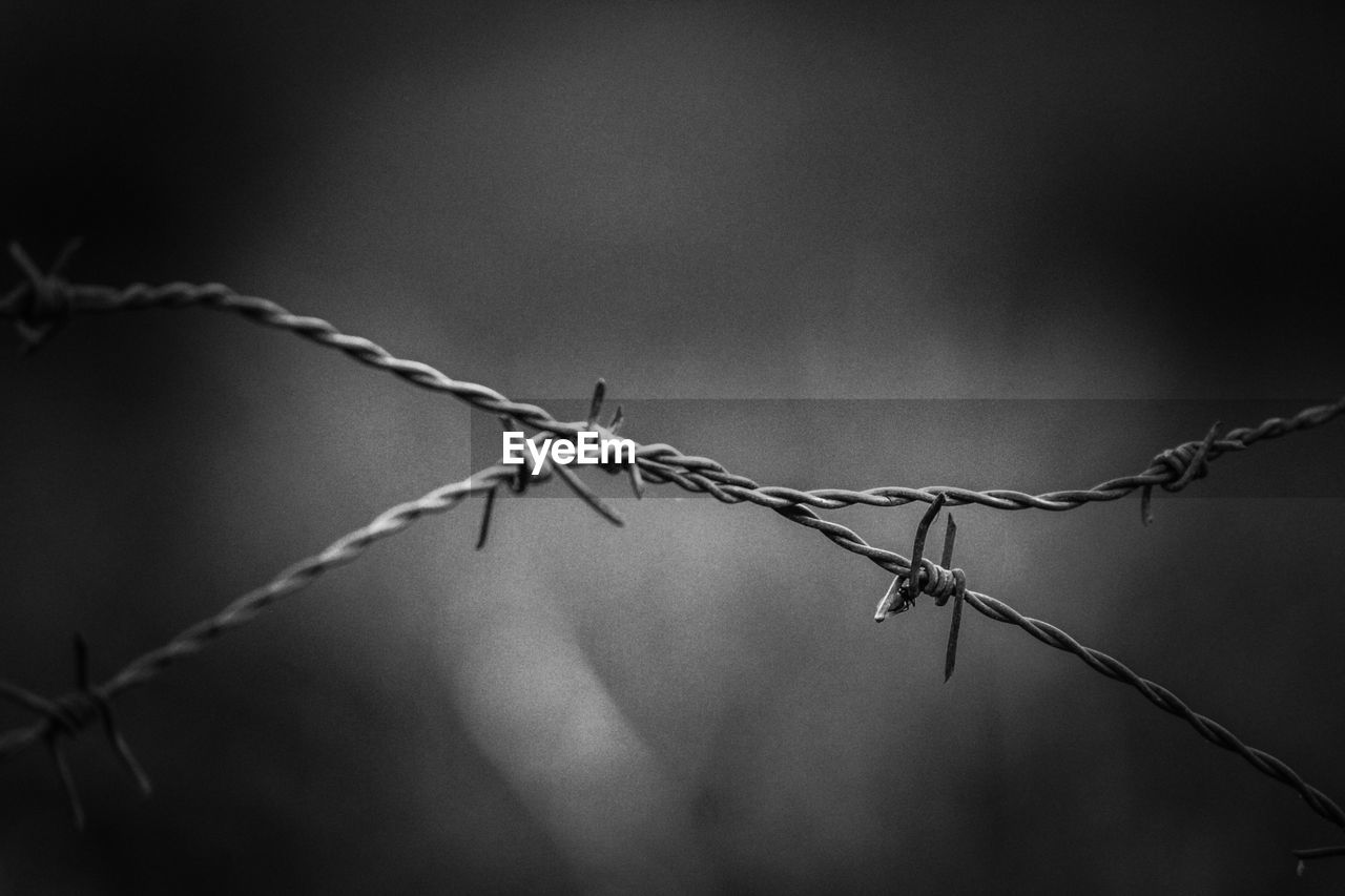 Close-up of barbed wire outdoors