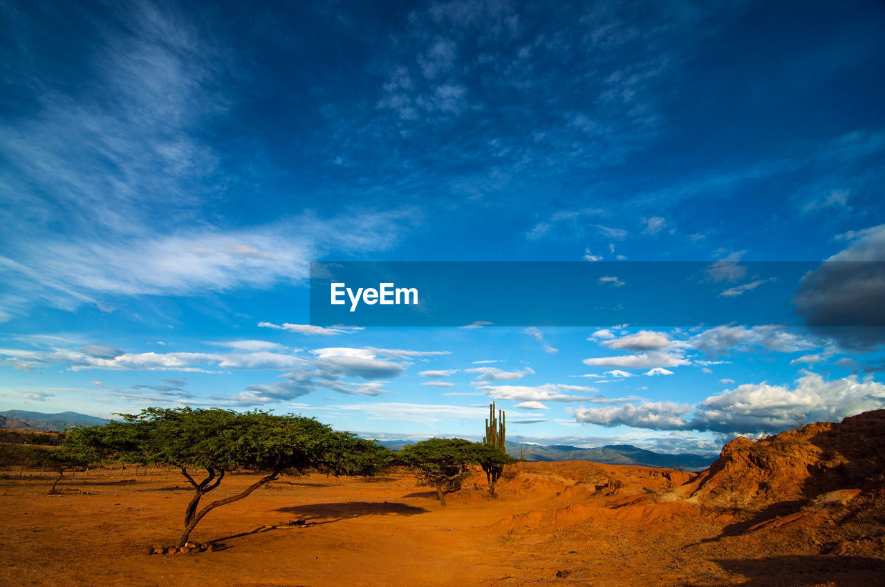 Scenic view of desert landscape against sky