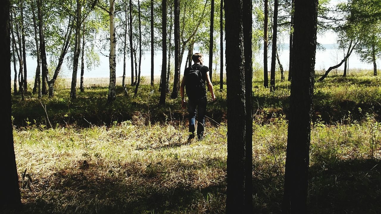 Rear view of man walking in forest