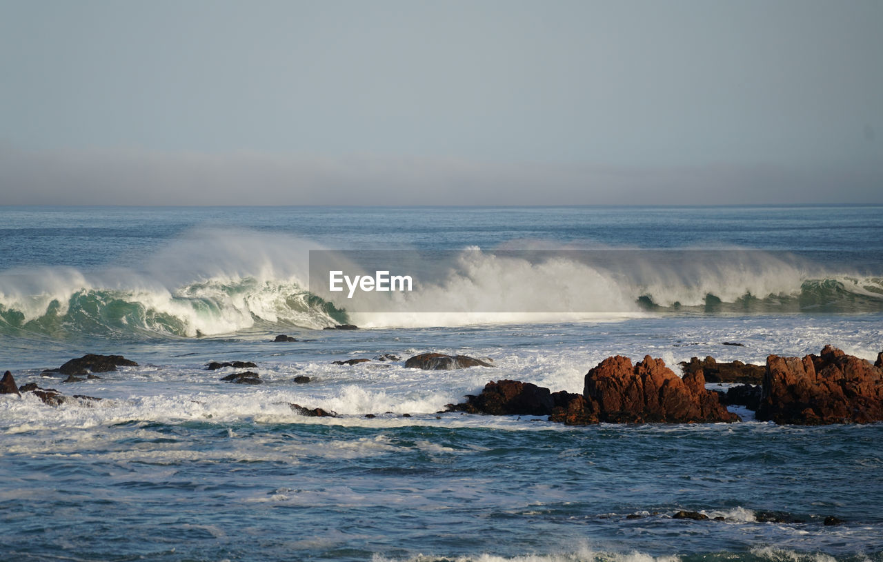 SCENIC VIEW OF BEACH AGAINST CLEAR SKY