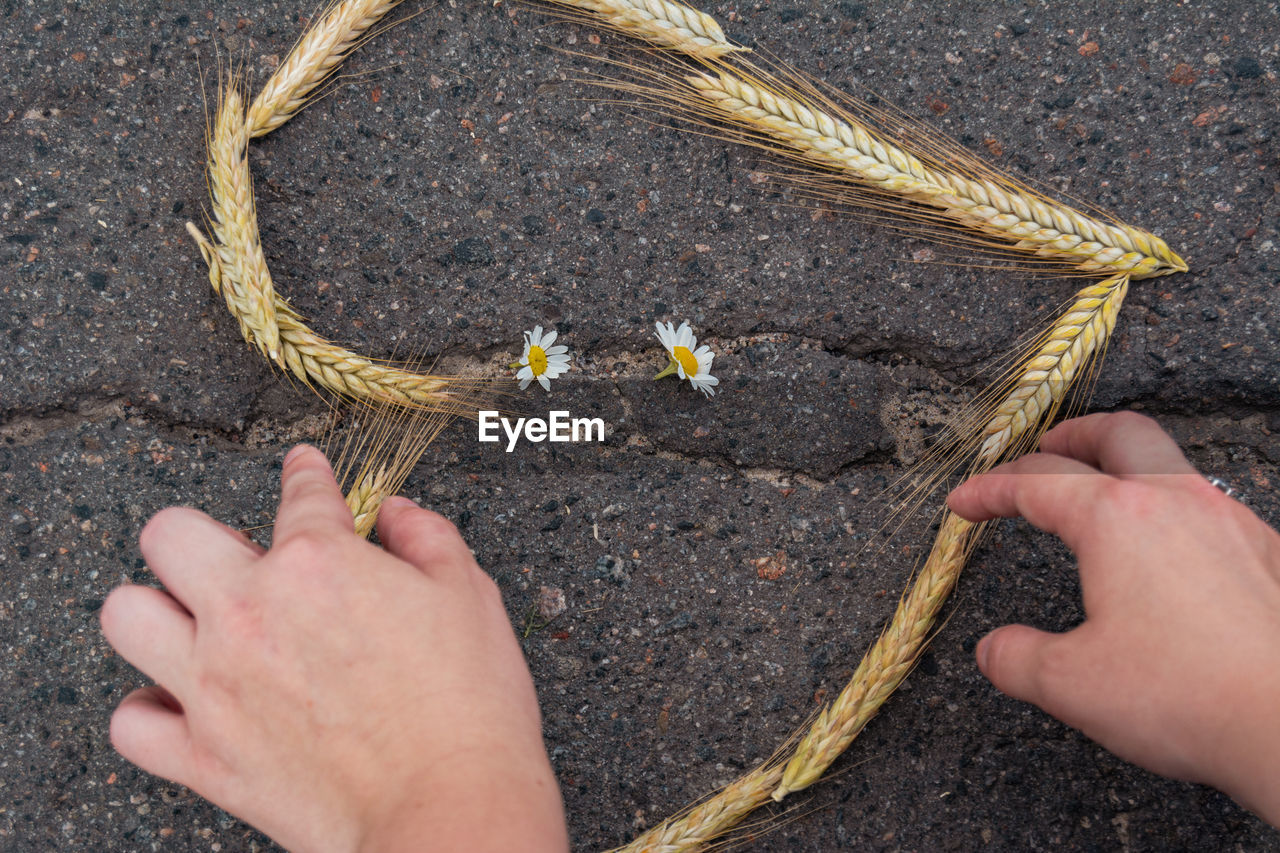 hand, high angle view, yellow, one person, holding, day, close-up, nature, personal perspective, outdoors, directly above, soil, lifestyles, road, street, leisure activity