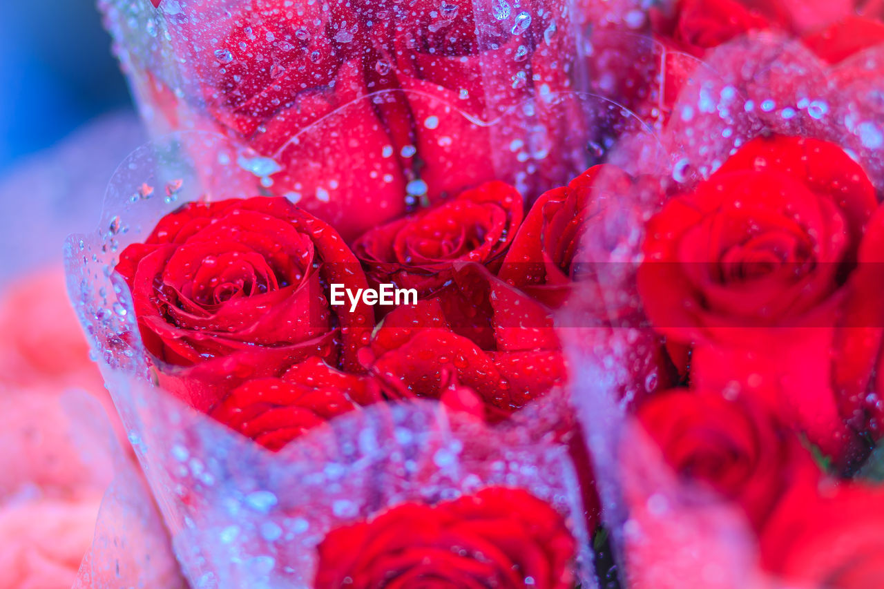 High angle view of roses bouquet