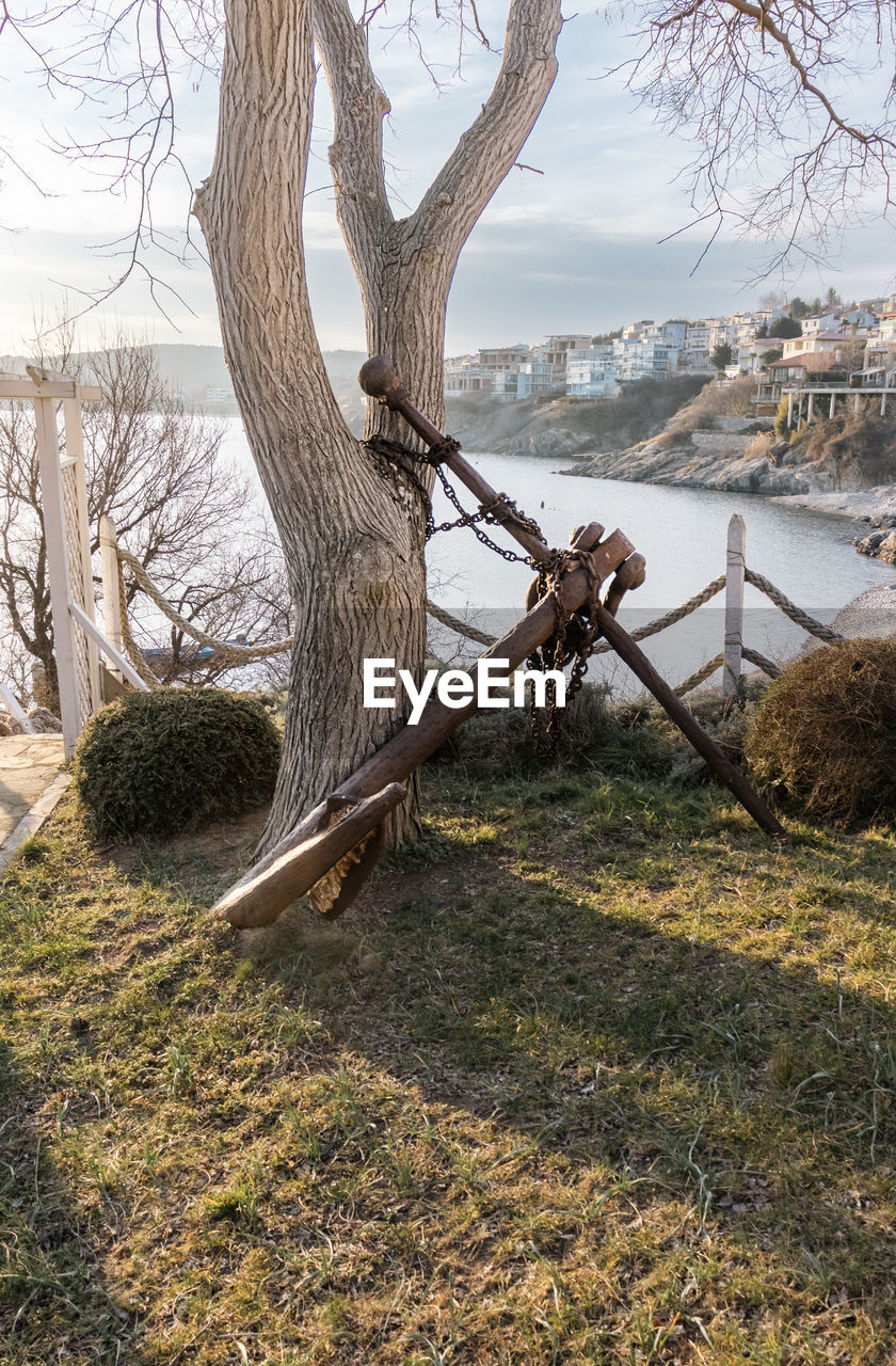 tree, plant, branch, nature, water, bare tree, tree trunk, trunk, no people, sky, land, day, architecture, tranquility, beauty in nature, environment, landscape, flower, outdoors, wood, scenics - nature, leaf, grass, autumn, river, travel destinations, tranquil scene, beach