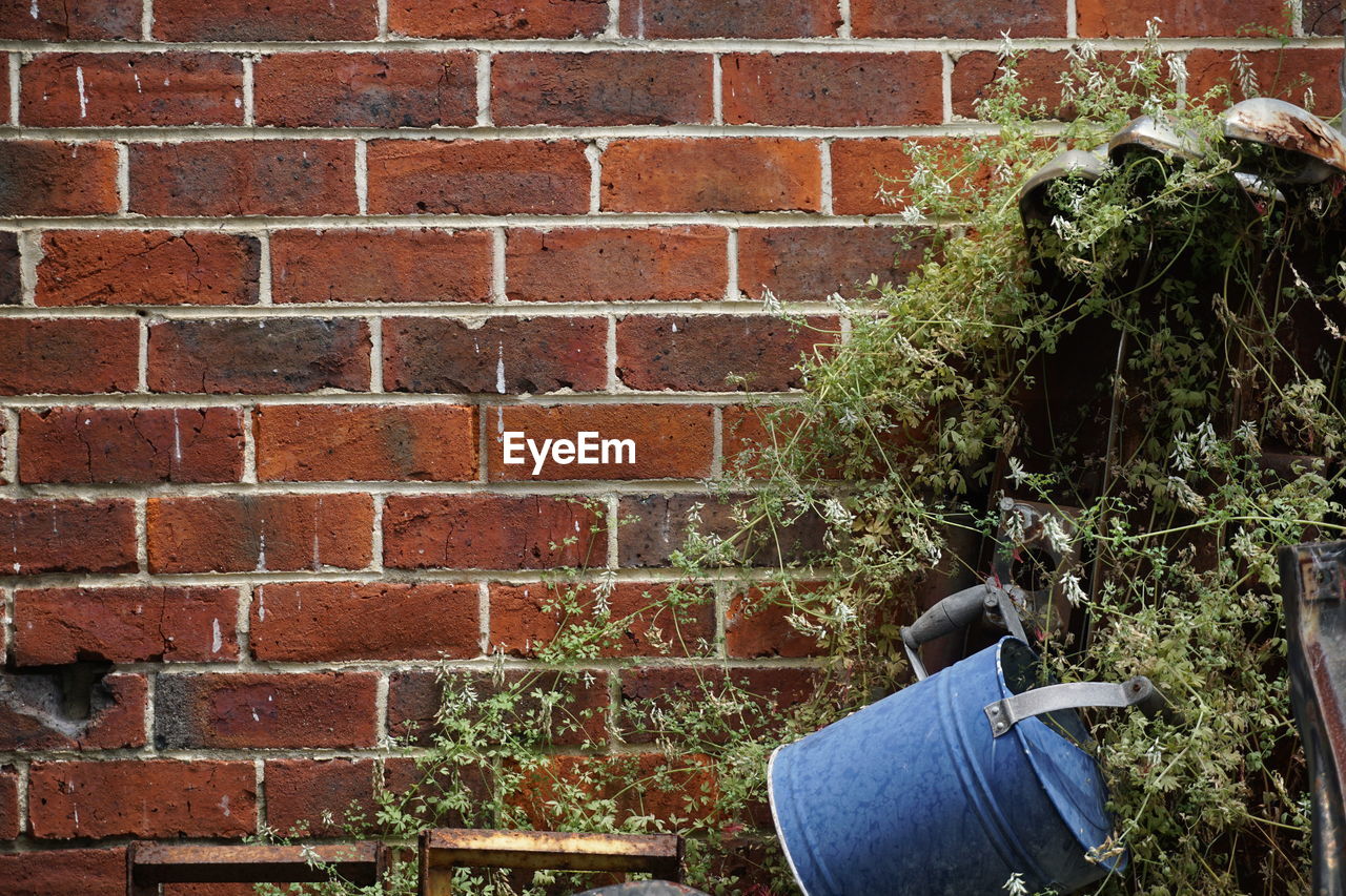 REAR VIEW OF PERSON ON BRICK WALL