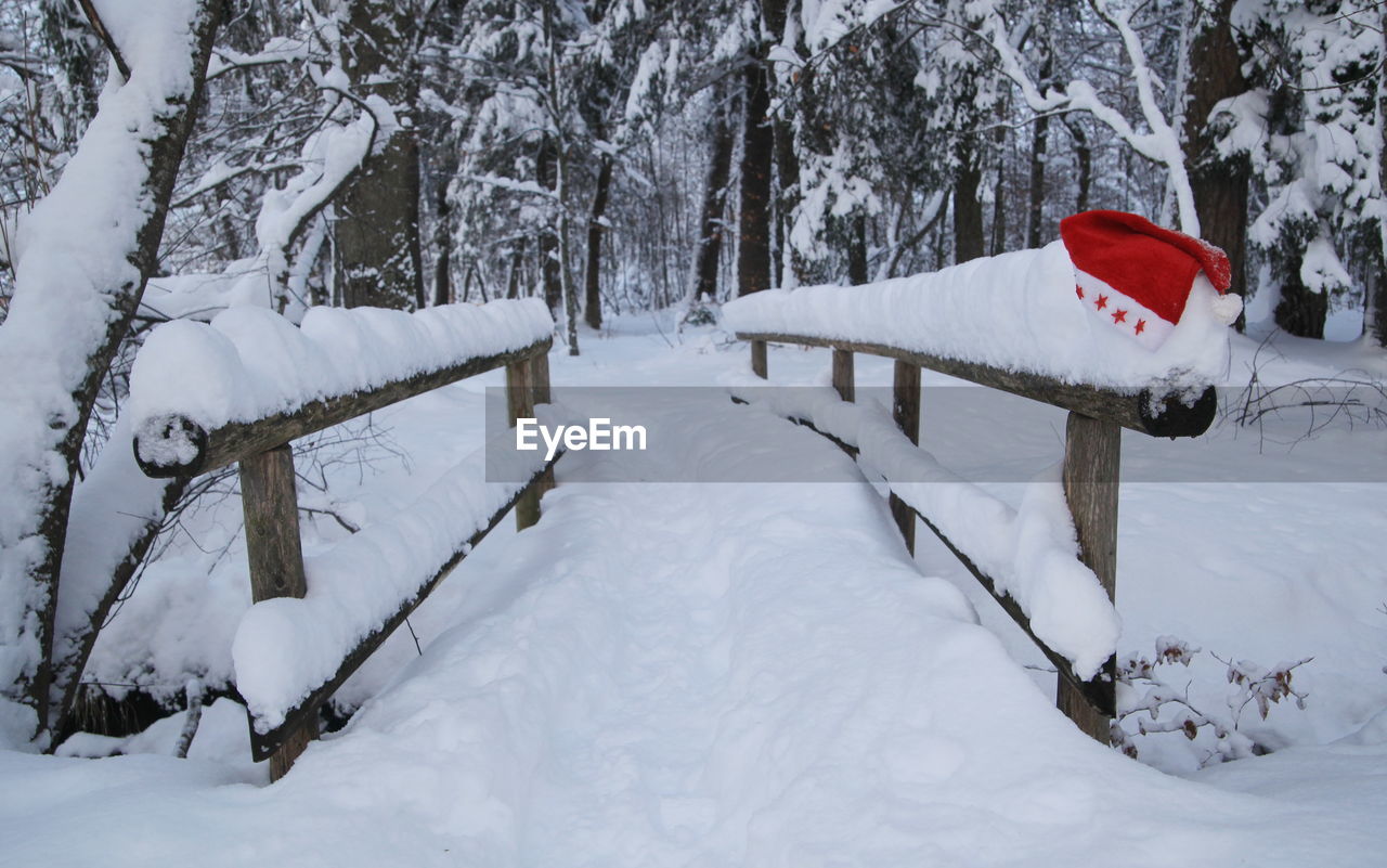 trees on snow covered field