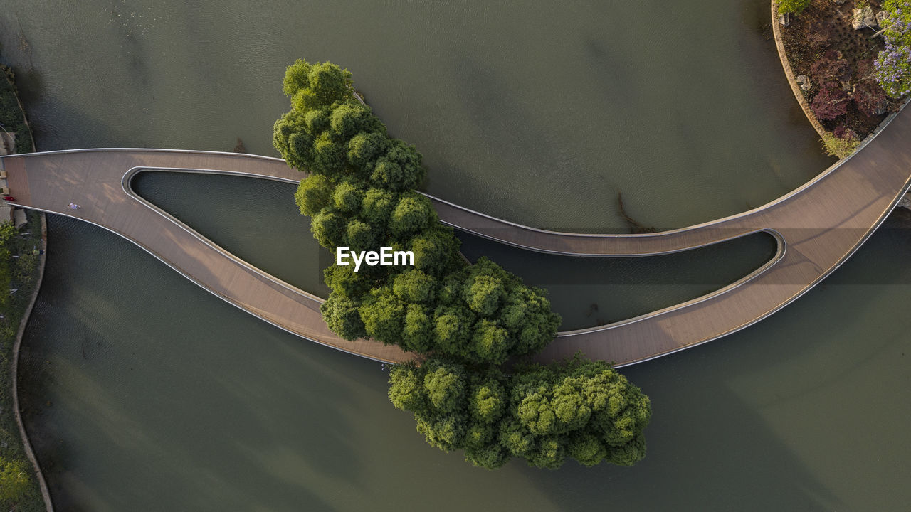 Directly above shot of tree and boardwalk over lake