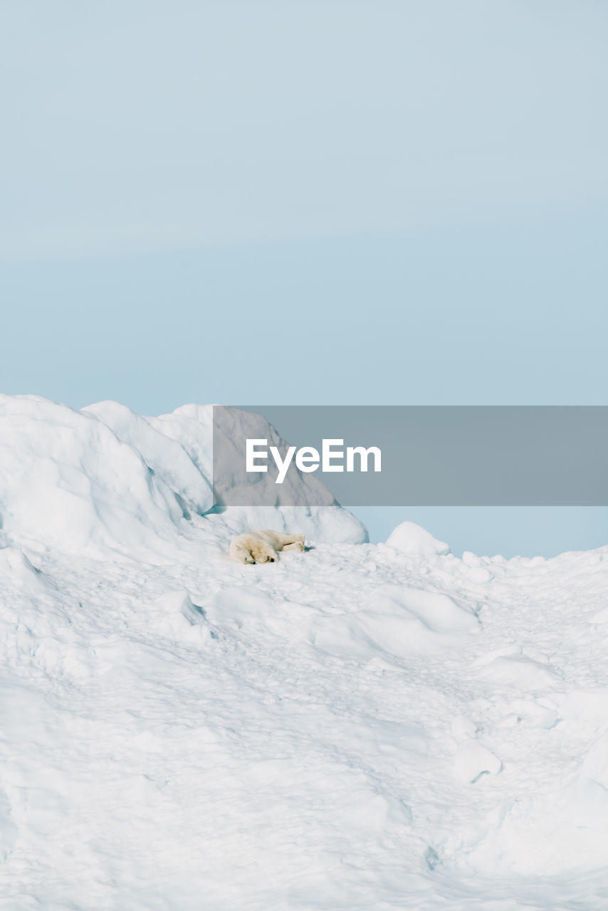 scenic view of snow covered field against sky