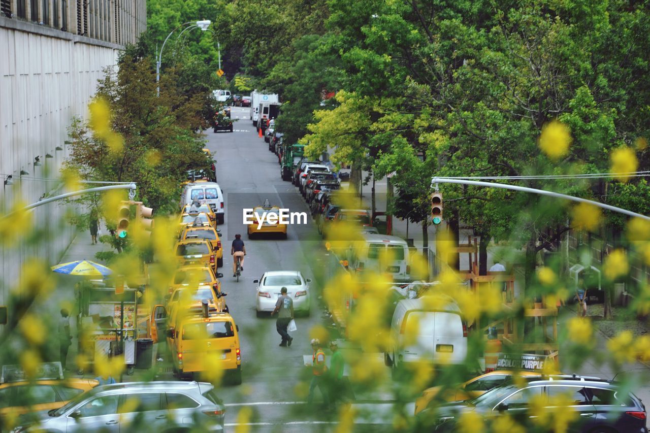 High angle view of cars on street