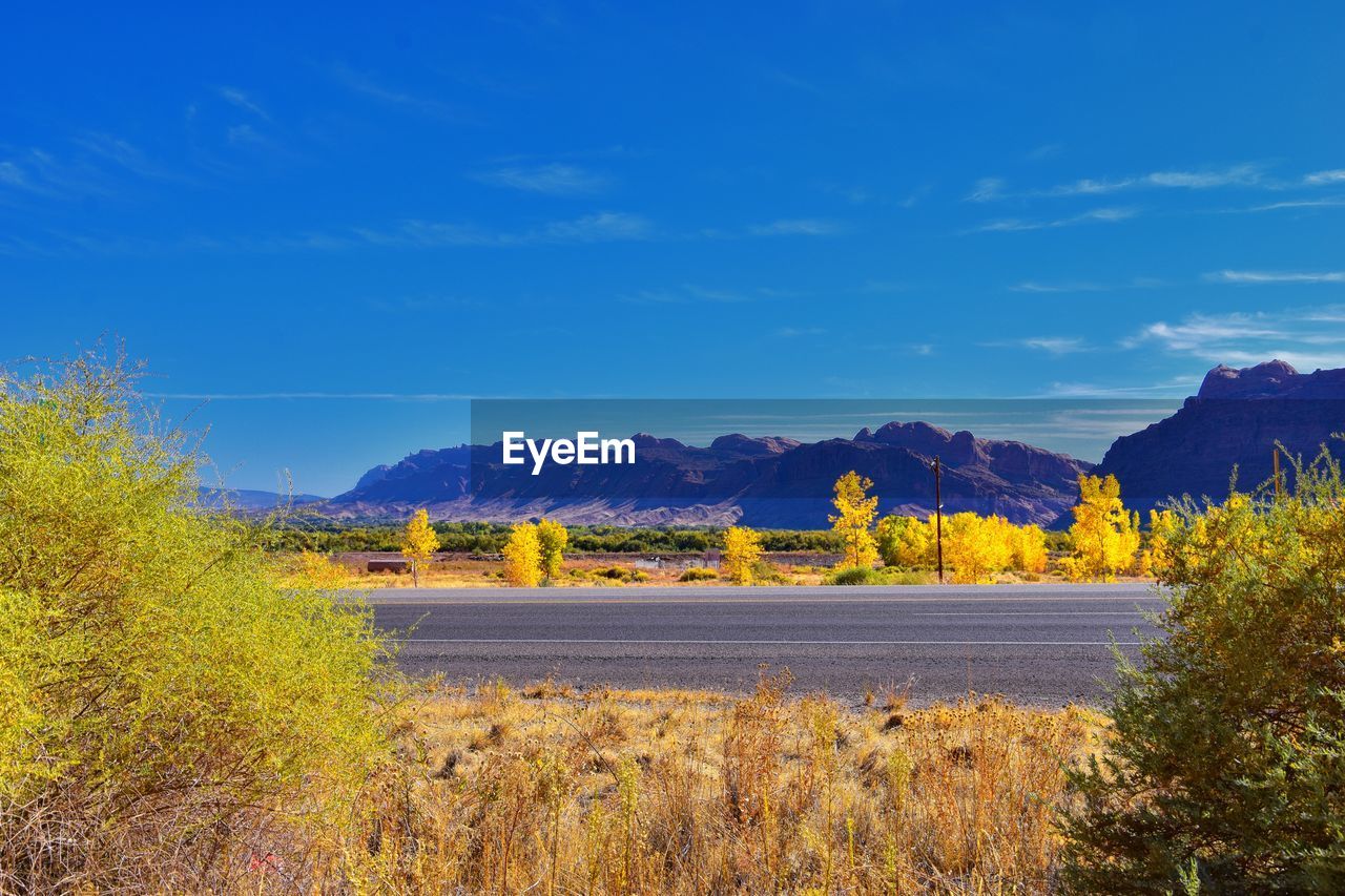 Scenic view of field against blue sky