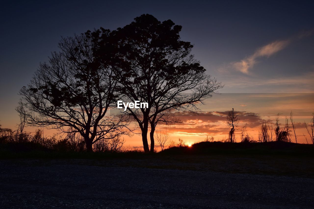 Silhouette bare tree on field against sky during sunset