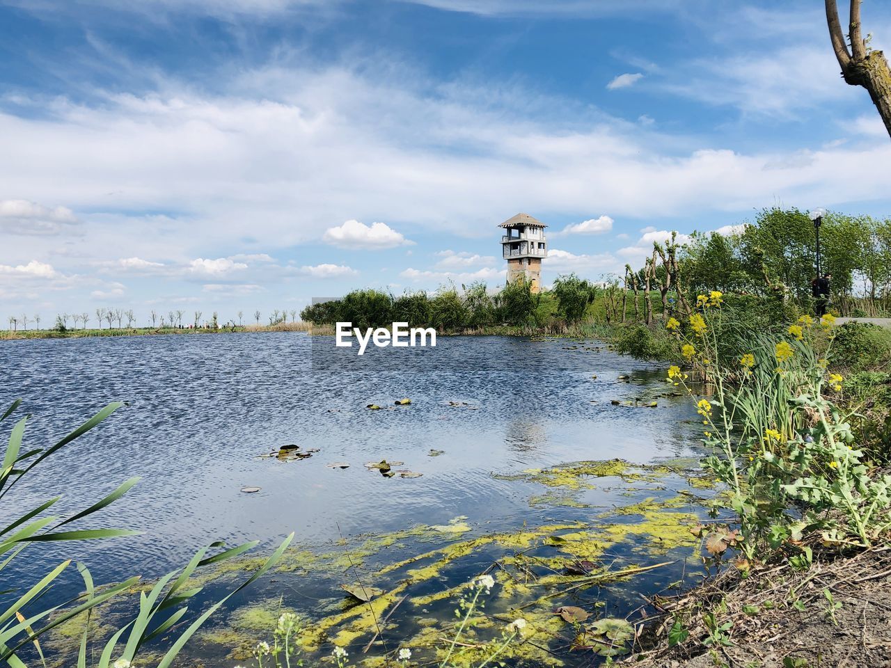 Scenic view of river by trees against sky