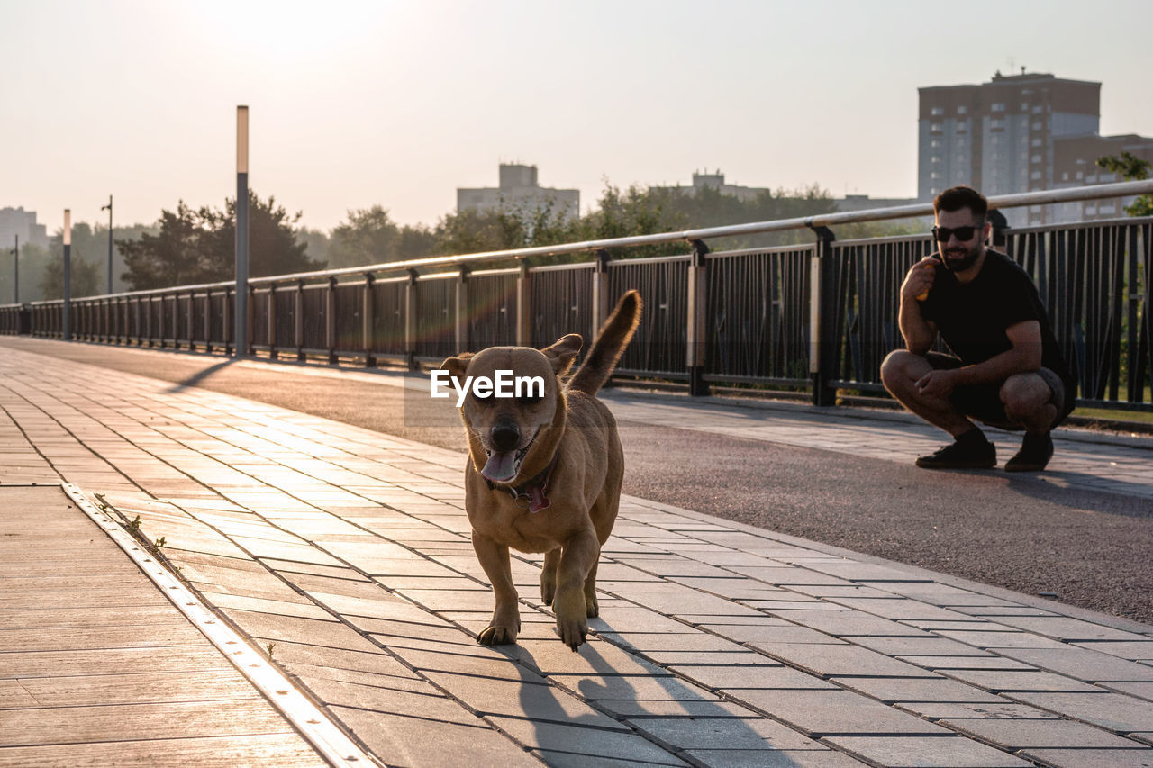 Handsome european man in sunglasses is walking with dog on a street.