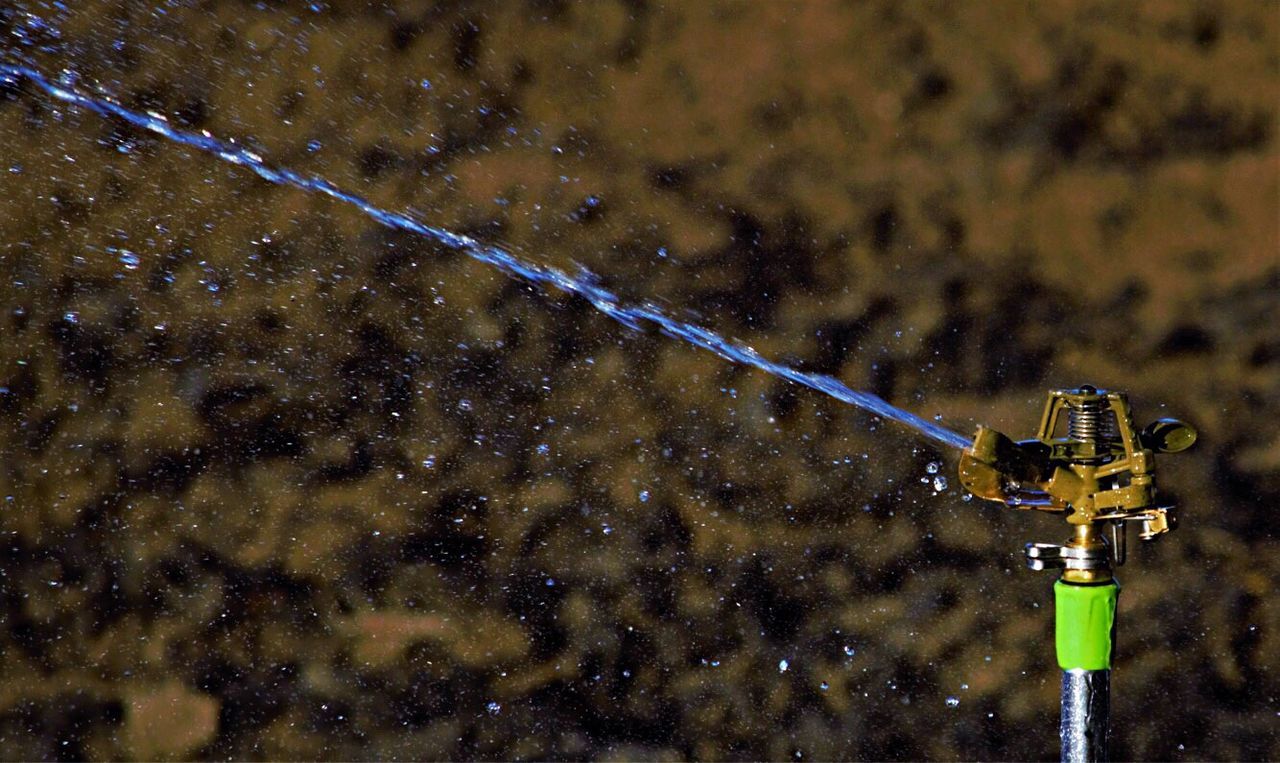 CLOSE-UP OF WATER DROPS ON LEAF