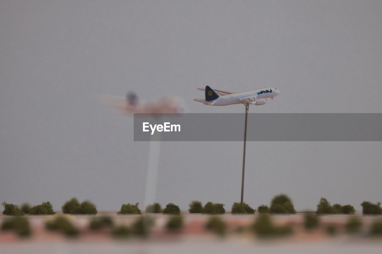 sky, flying, airplane, nature, aircraft, no people, day, aviation, motion, vehicle, outdoors, water, air vehicle, bird, plant, animal wildlife