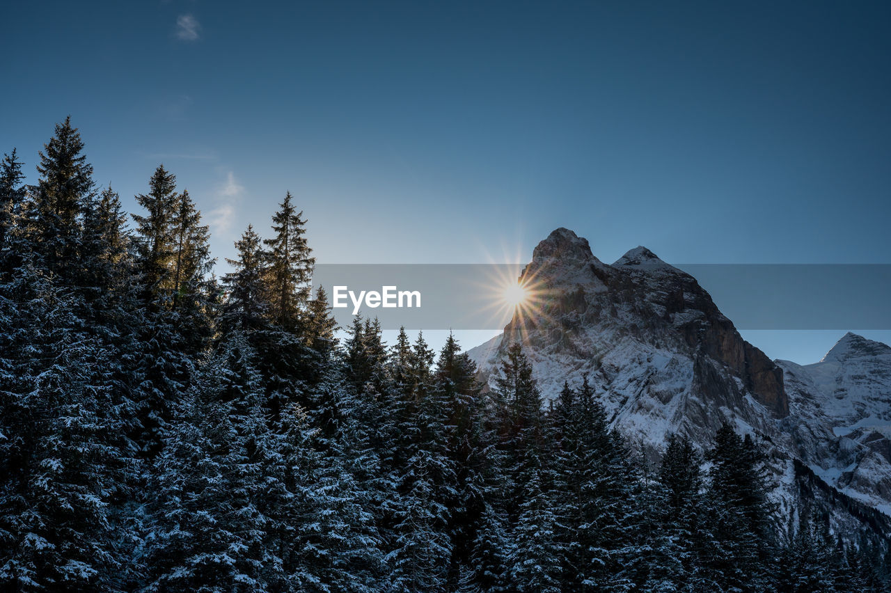 LOW ANGLE VIEW OF SNOWCAPPED MOUNTAIN AGAINST SKY DURING WINTER