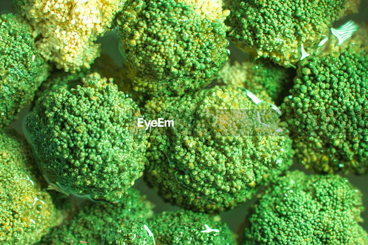 Close-up of broccoli salad