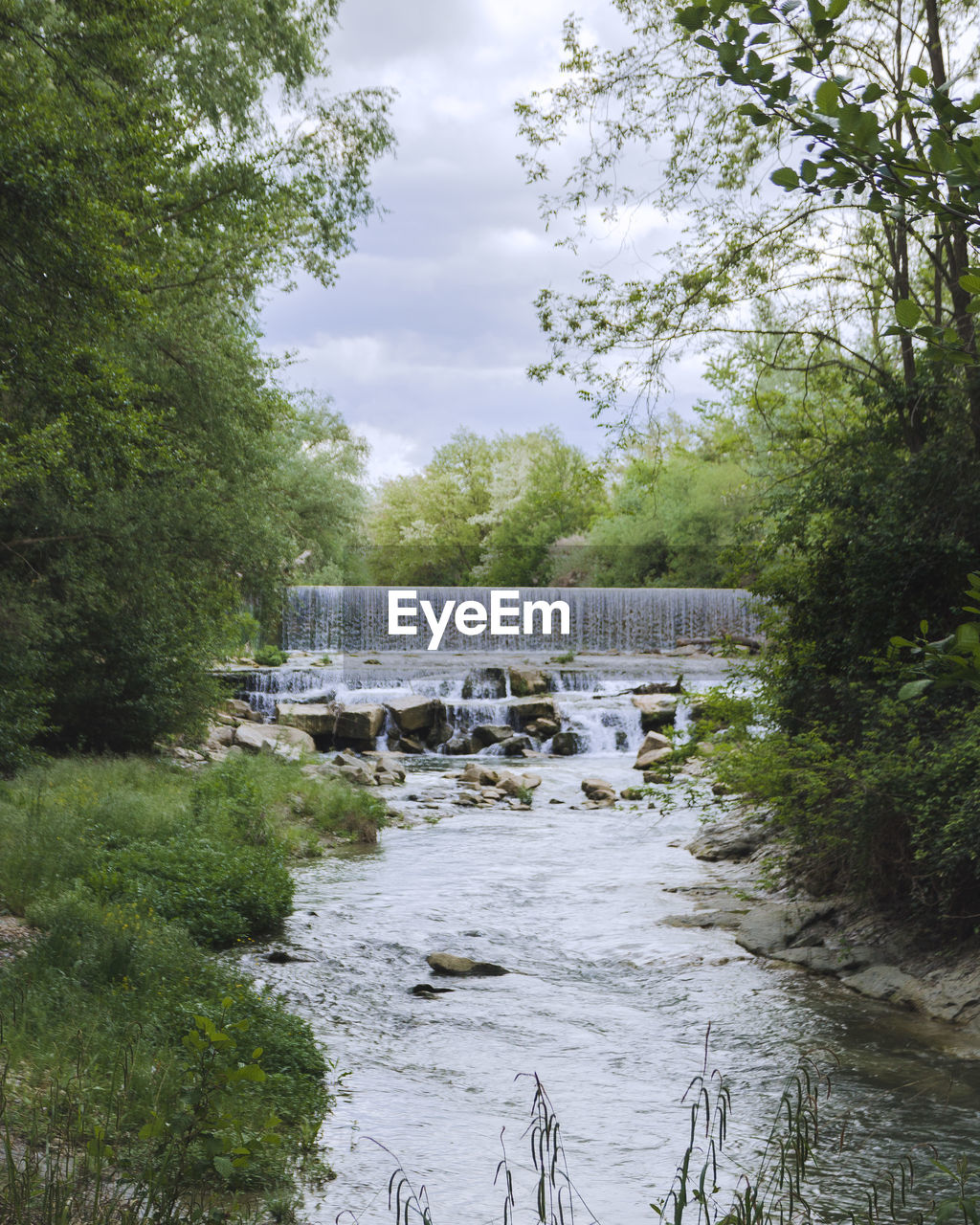 BRIDGE OVER RIVER IN FOREST