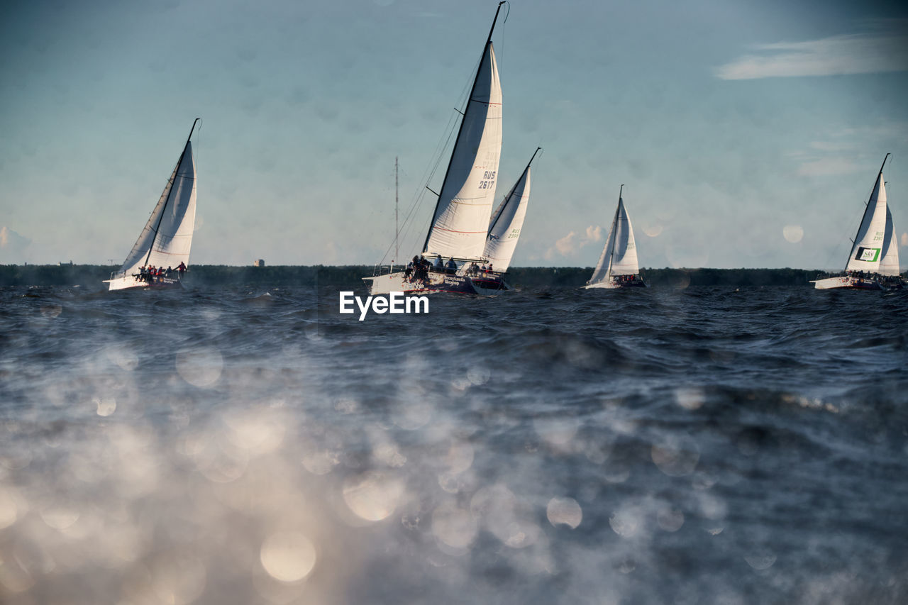 low angle view of sailboat in sea