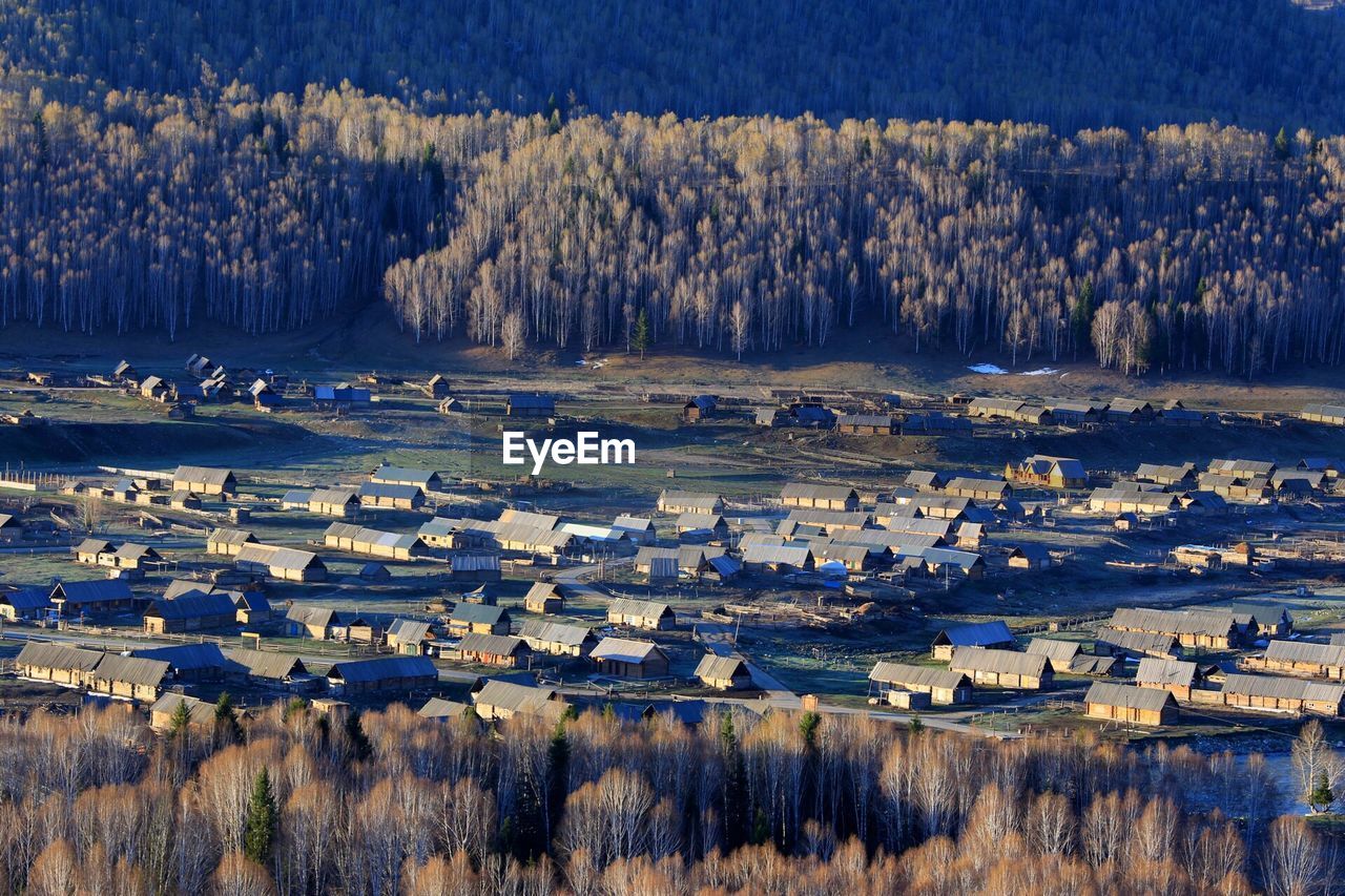 Aerial view of houses in village