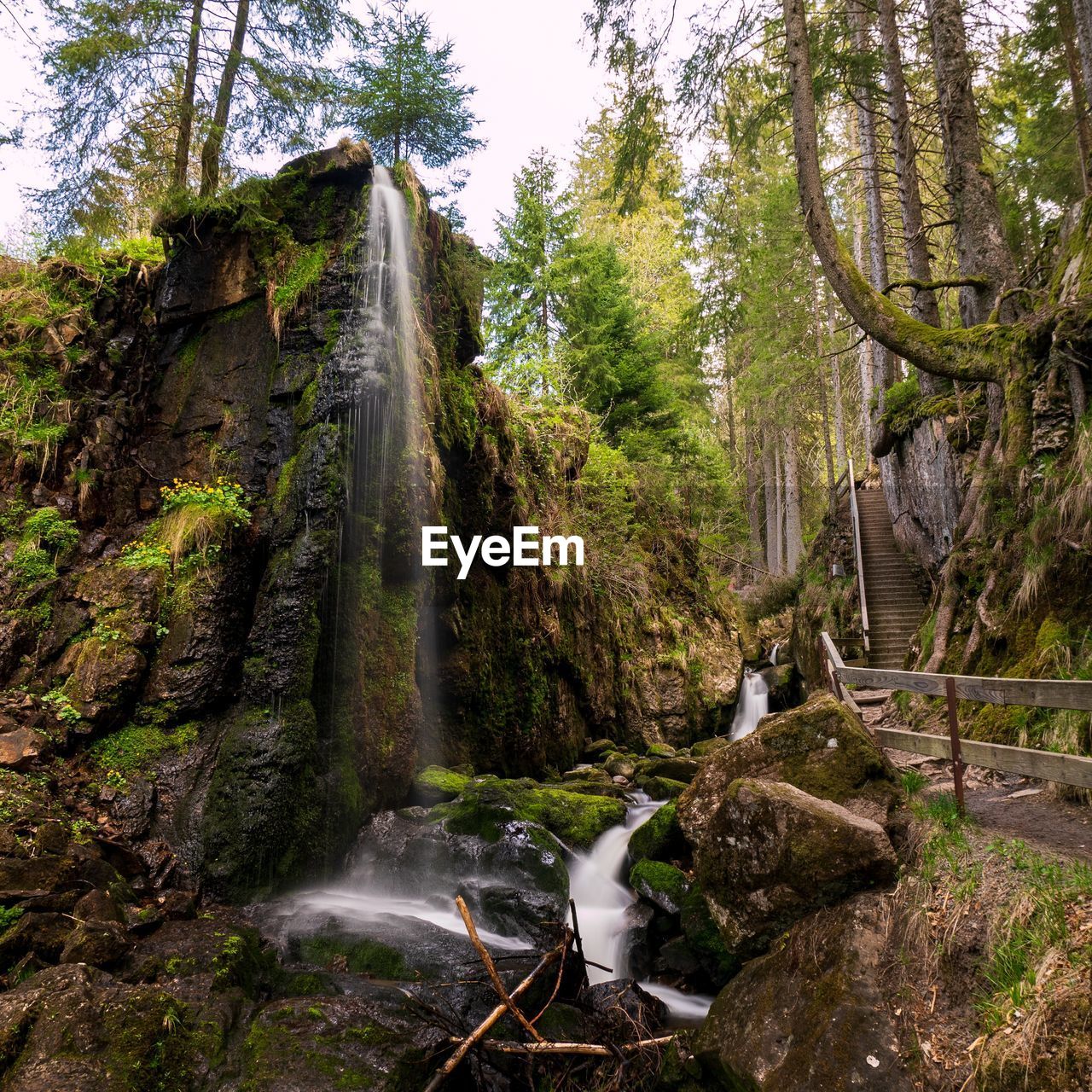 SCENIC VIEW OF WATERFALL