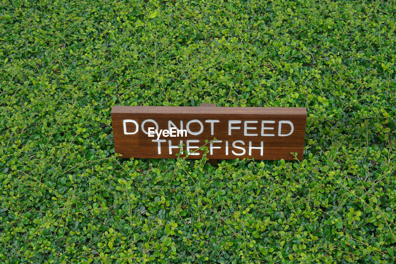 Close-up of do not feed the fish message among green plants