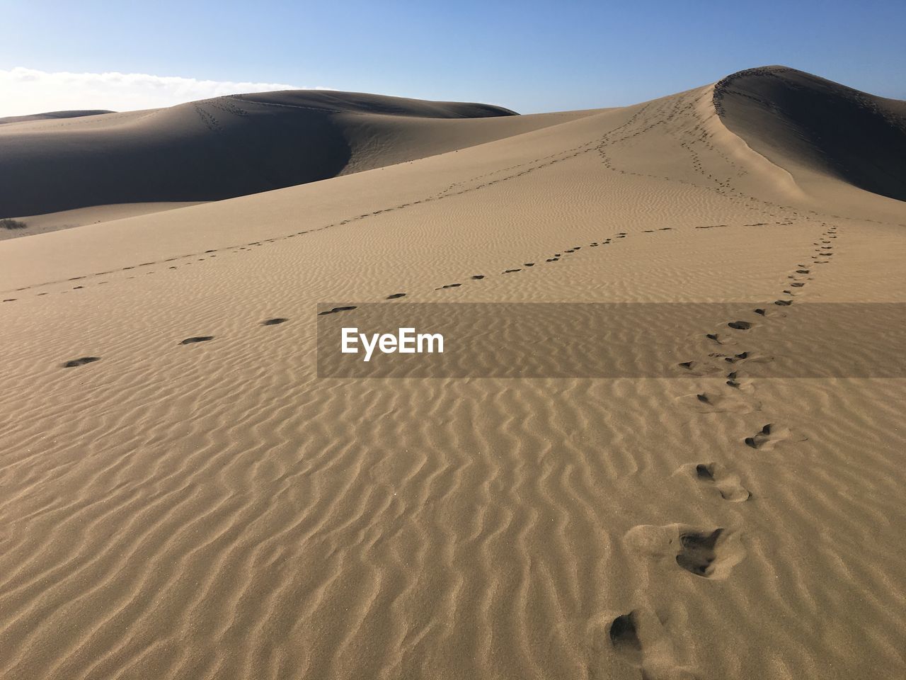 Sand dunes in desert