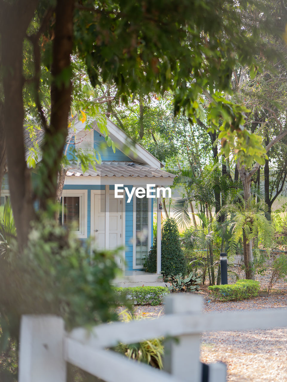 plant, tree, architecture, home, built structure, building exterior, house, building, nature, backyard, estate, day, no people, cottage, garden, residential district, outdoors, growth, yard, front or back yard, green, sunlight