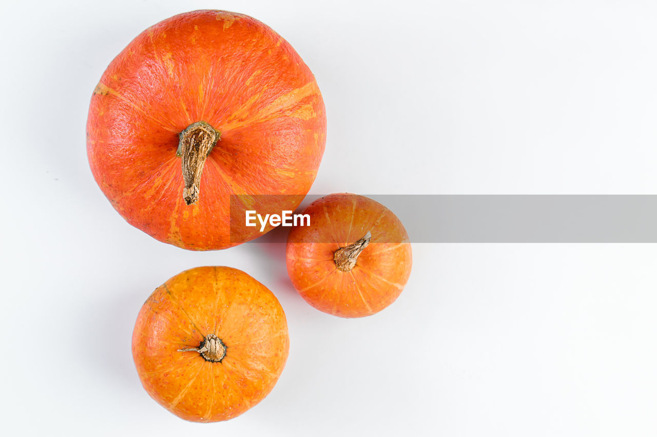 directly above shot of orange fruit against white background