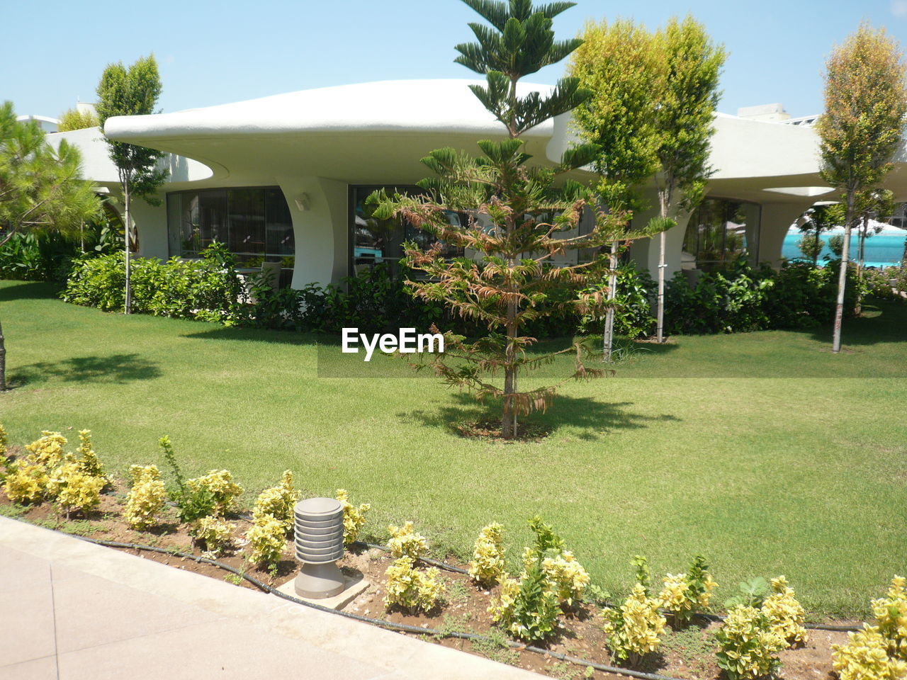 PLANTS AND HOUSE IN LAWN