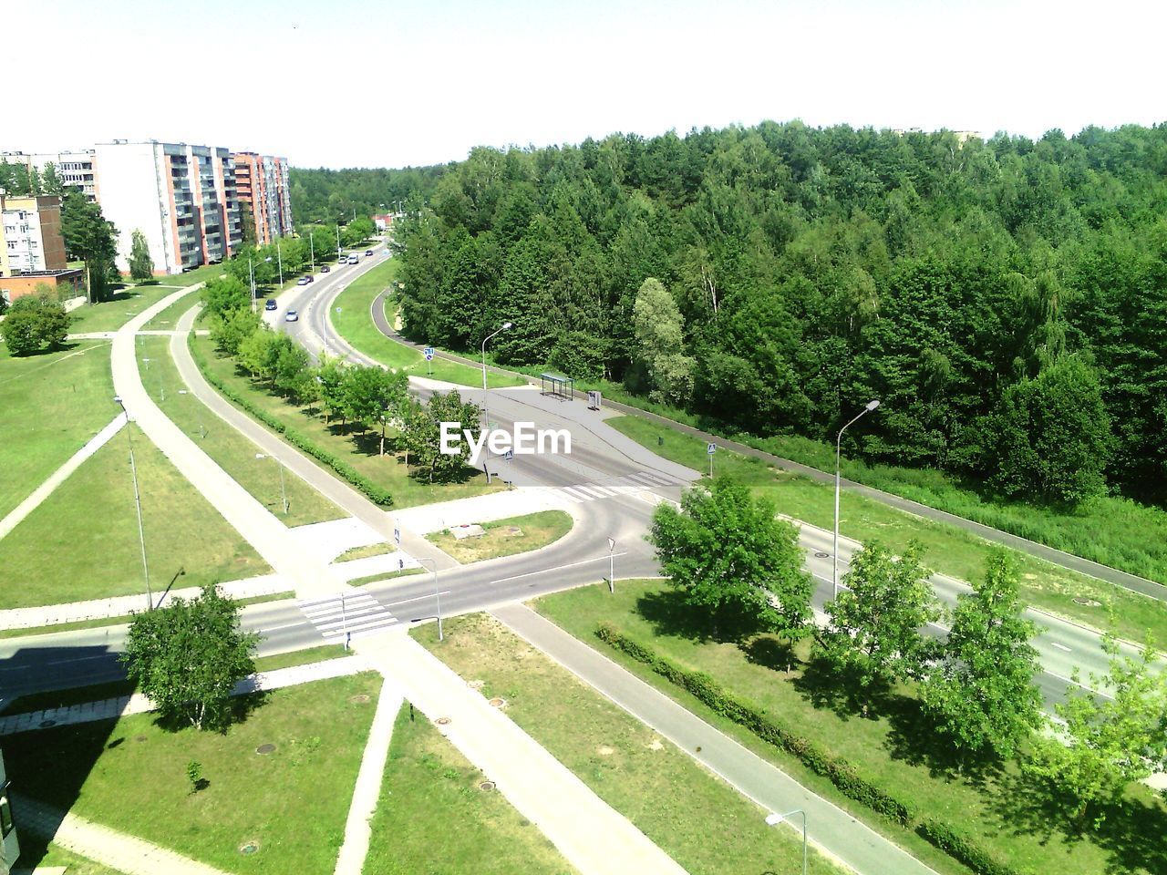 Road along trees