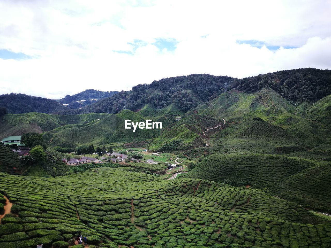 Scenic view of field and mountains against sky