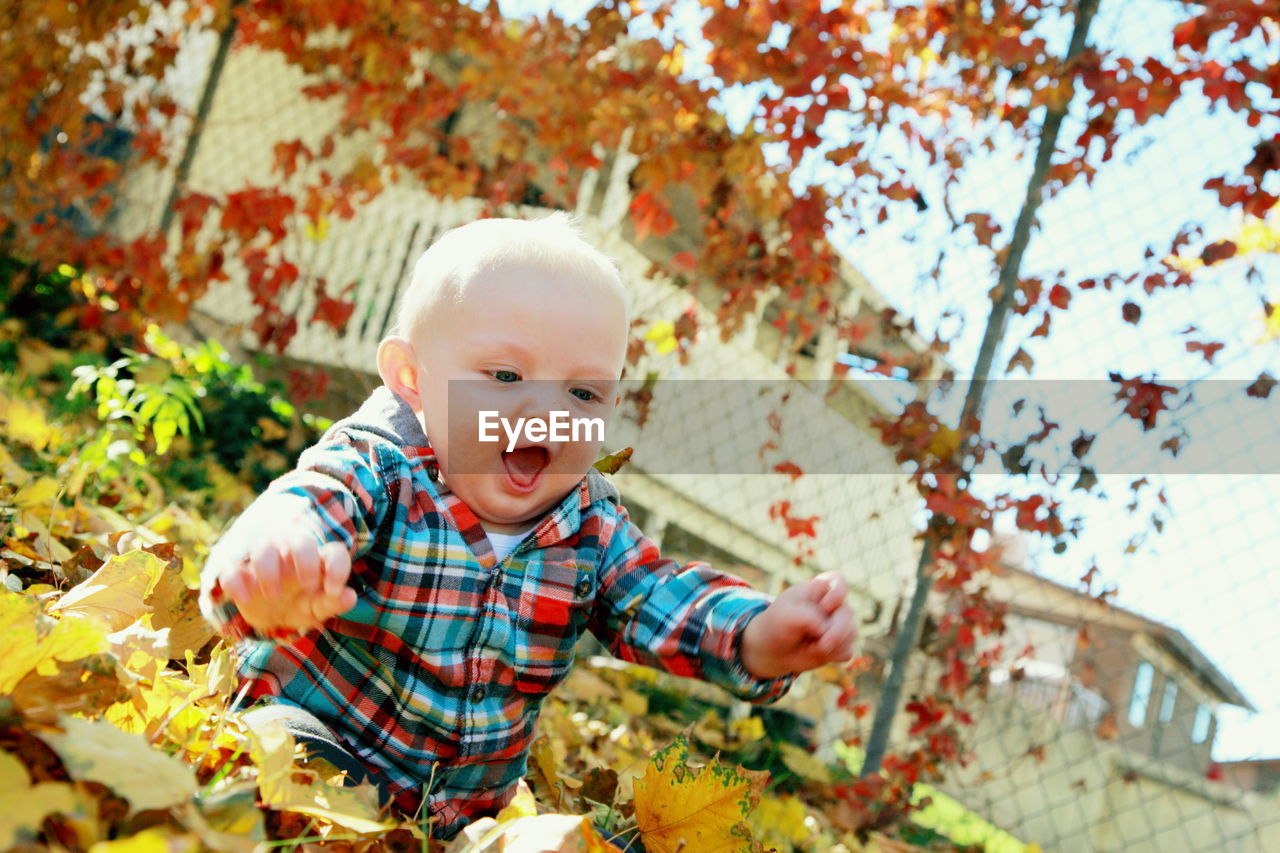 Close-up of cheerful baby boy sitting on autumn leaves covered field
