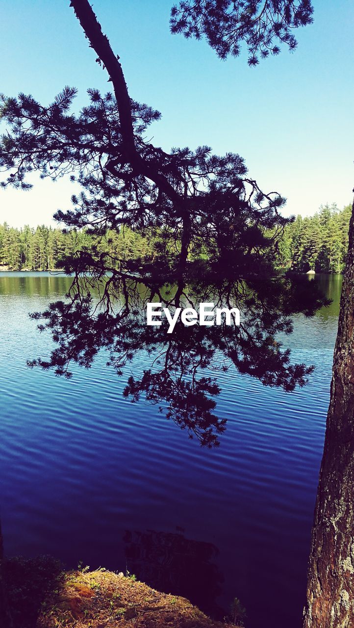 SCENIC VIEW OF LAKE AGAINST CLEAR SKY