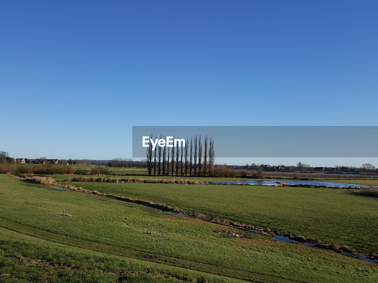 Scenic view of agricultural field against clear blue sky