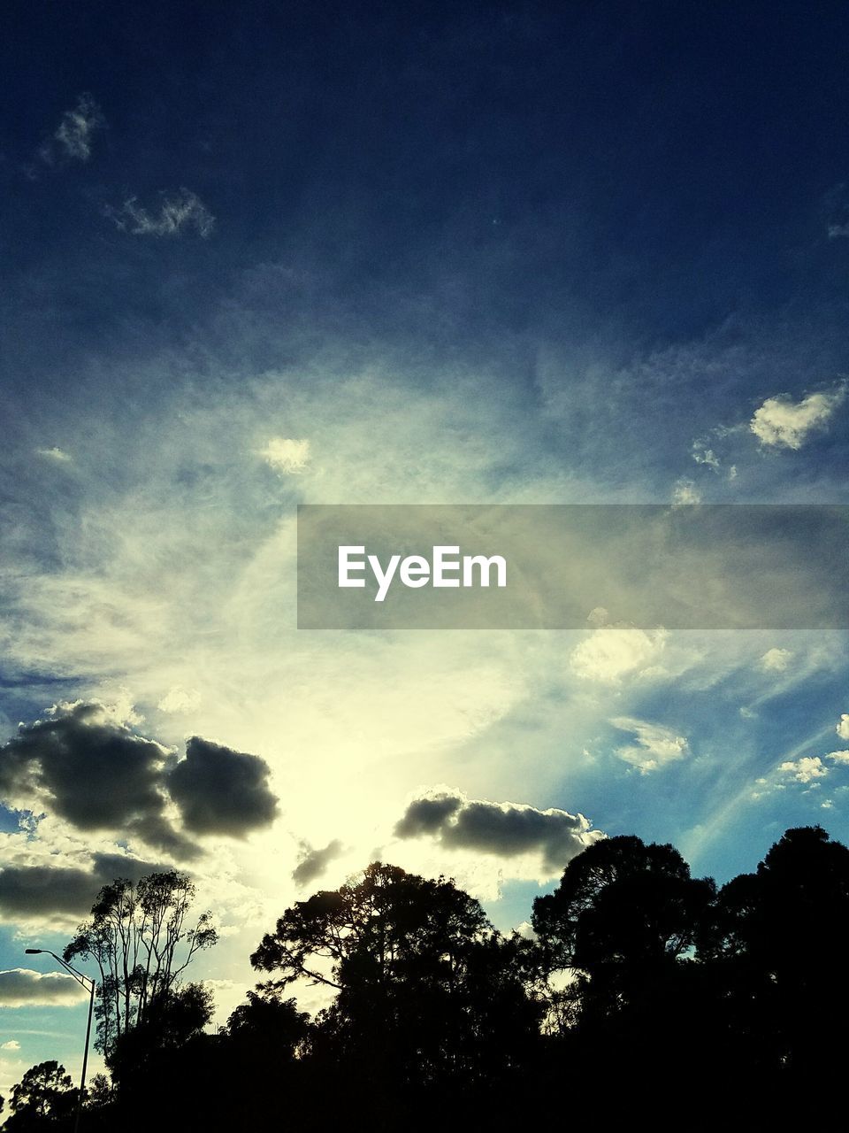 LOW ANGLE VIEW OF SKY OVER SILHOUETTE TREES AGAINST BLUE CLOUDY DAY