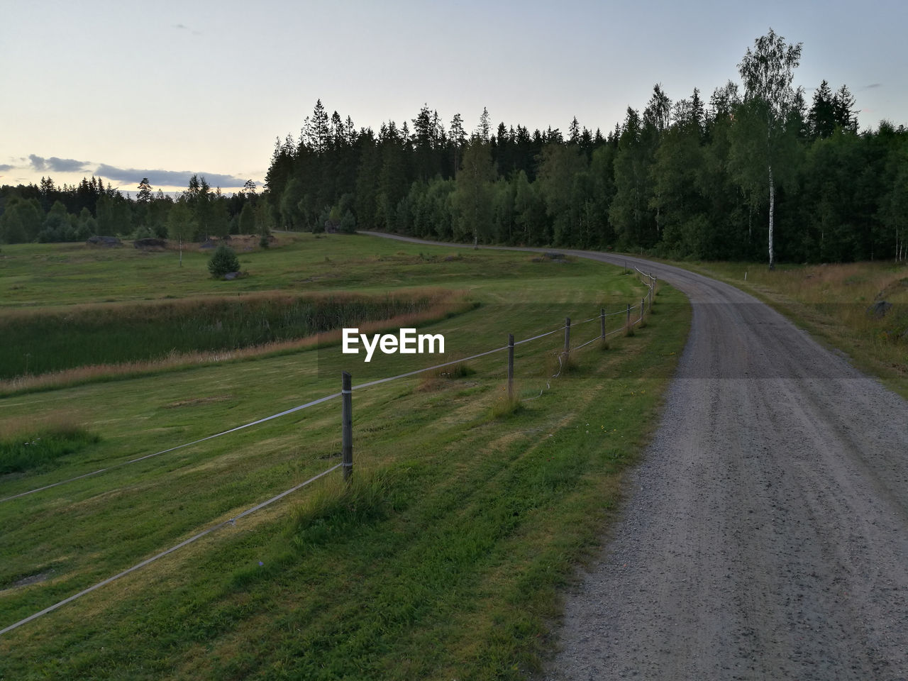 SCENIC VIEW OF ROAD AMIDST TREES AGAINST SKY