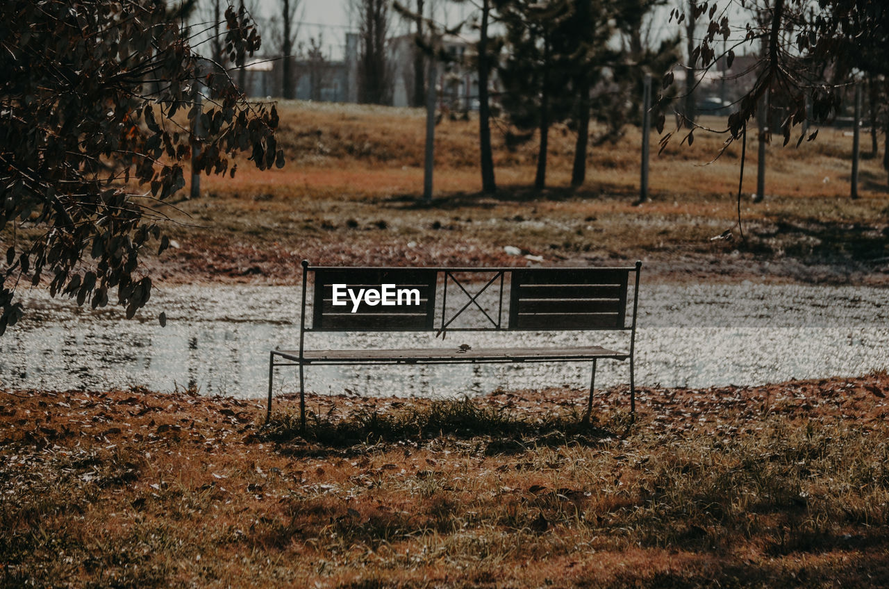 EMPTY BENCH IN FIELD