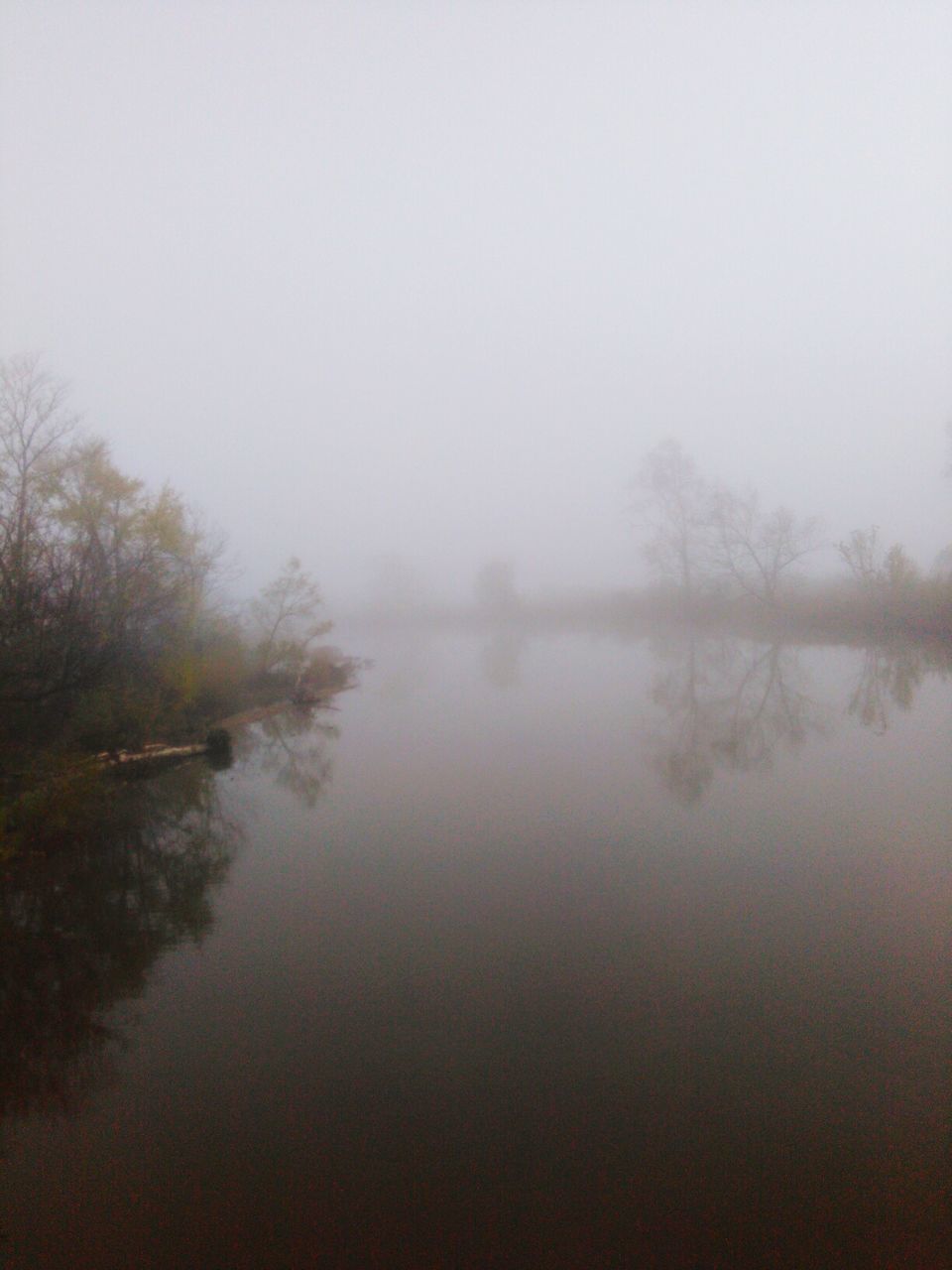 SCENIC VIEW OF LAKE IN FOGGY WEATHER