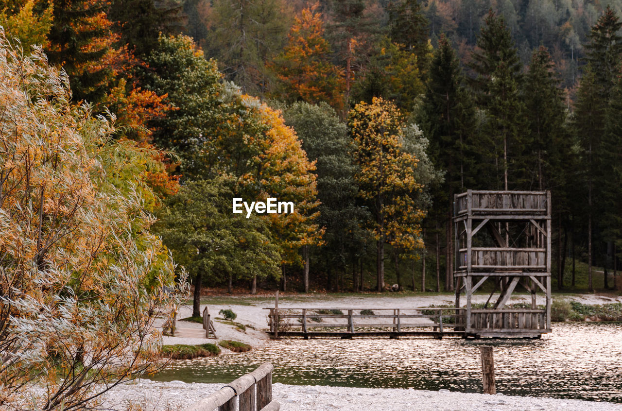 Autumn colors of forest around lake jasna in kranjska gora in slovenia