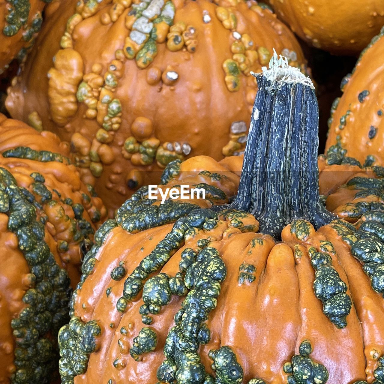 CLOSE-UP OF ORANGE FOR SALE IN MARKET STALL