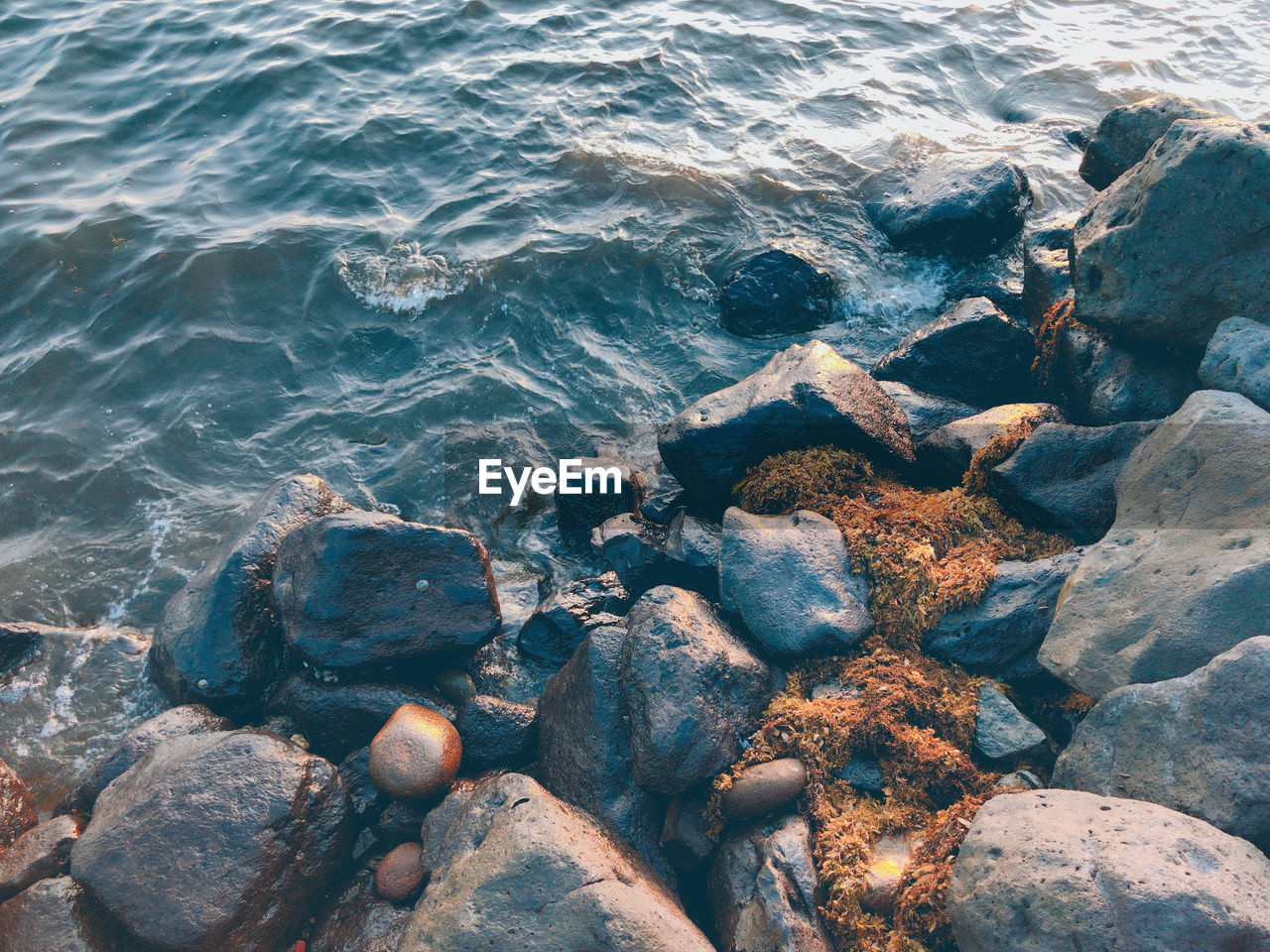 High angle view of rocks on shore