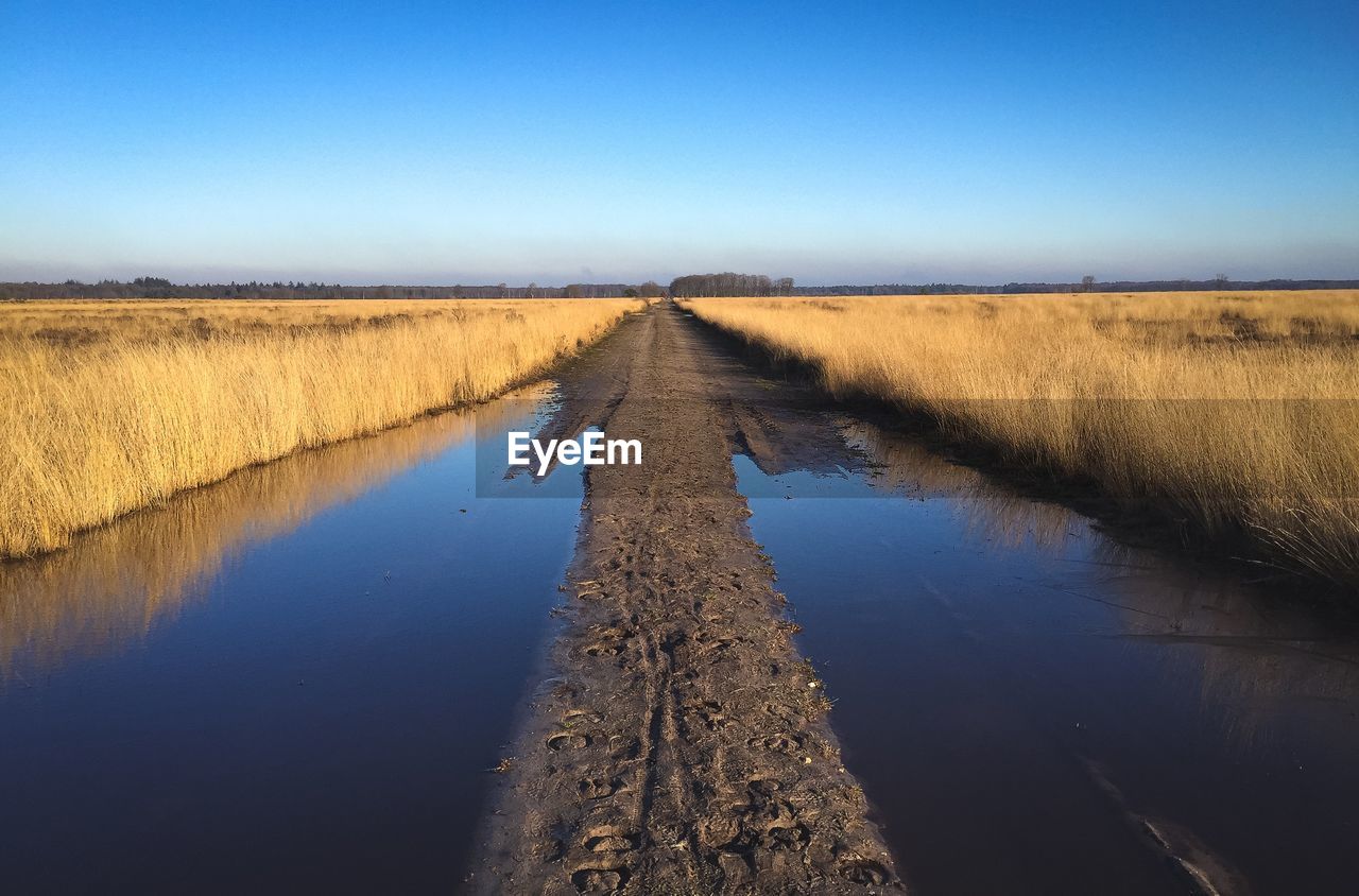 Typical dutch meadow landscape with stream and tree edge during late fall sunny