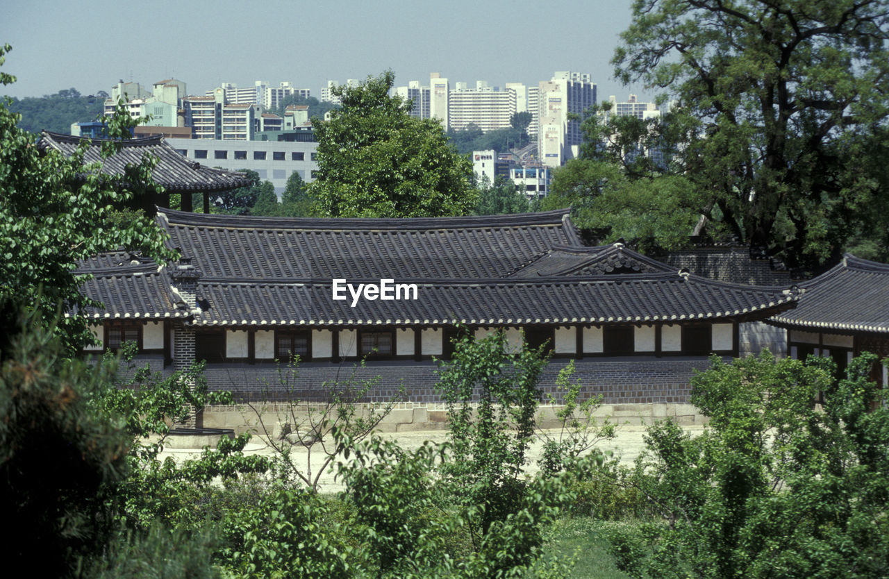 HIGH ANGLE VIEW OF TREES AND HOUSES AGAINST BUILDINGS