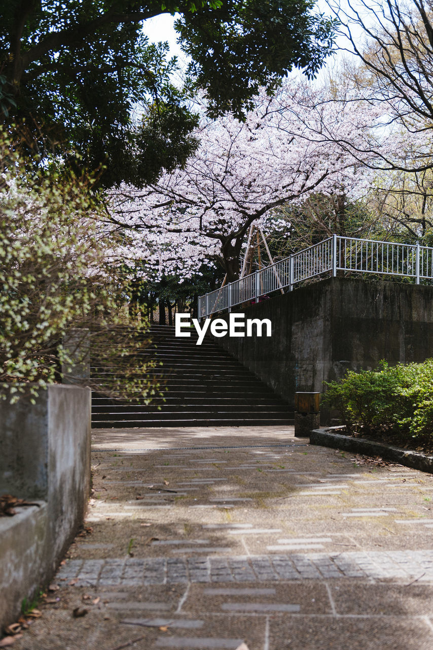 Footpath leading to building