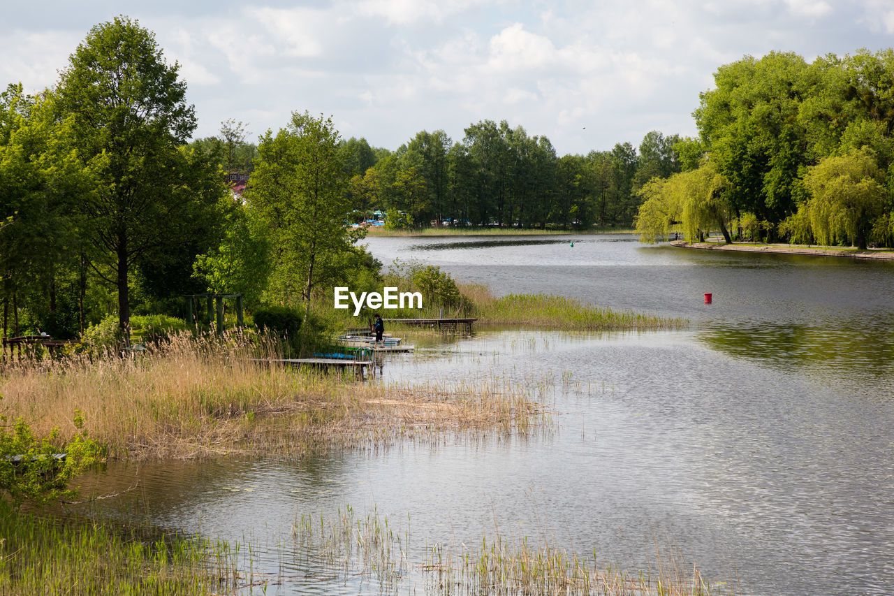 SCENIC VIEW OF LAKE AND TREES AGAINST SKY