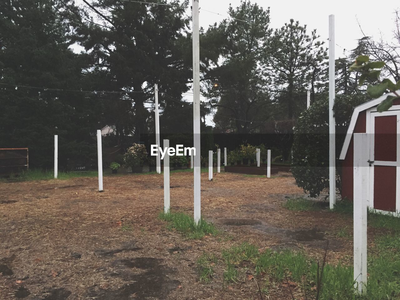 FENCE BY TREES