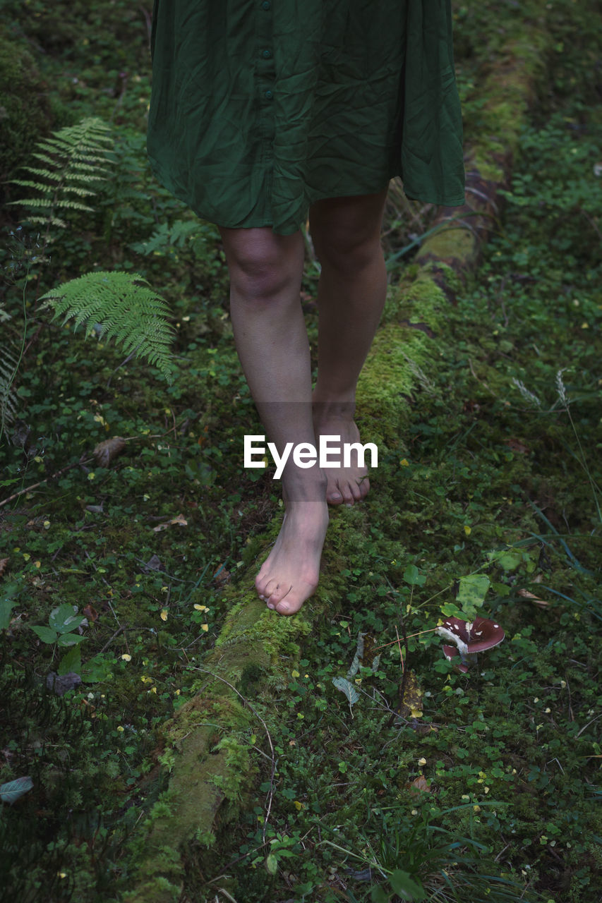 Close up forest log and feet concept photo