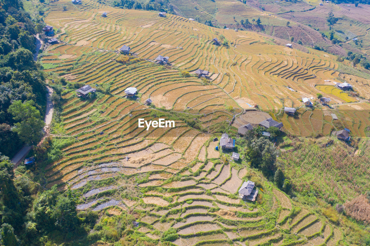 HIGH ANGLE VIEW OF AGRICULTURAL FIELD